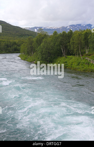 Landschaft mit Bergen, Bäumen und einem Fluss vor, Norwegen Stockfoto