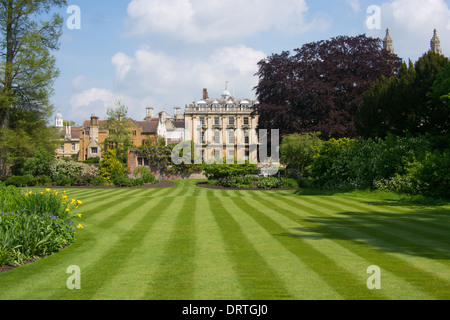 Blick in Richtung Clare College in Cambridge, England Stockfoto