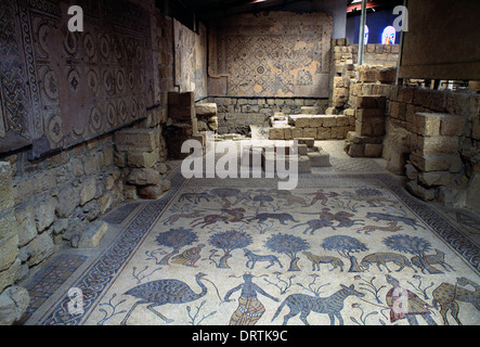 Mount Nebo Jordan Memorial Church of Moses Mosaic im Diaconicon-Baptistery Stockfoto