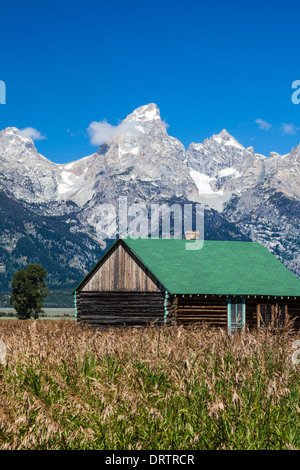 Verlassene Farm Gebäude auf "Mormon Row" im Grand Tetons National Park, Wyoming, während die Grand Tetons Mountain Range im Hintergrund. Stockfoto