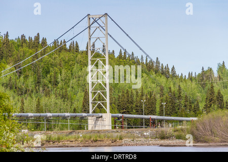 Alaska Pipeline erhöht für Flussüberquerung in der Nähe von Fairbanks, Alaska. Stockfoto