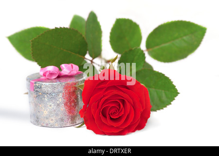 Rote Rose und ein Geschenk-Box auf weißem Hintergrund Stockfoto