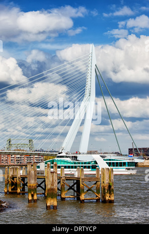 Alte hölzerne Pier auf einem Fluss und Erasmus-Brücke (Niederländisch: Erasmusbrücke) in Rotterdam, Zuid-Holland, Niederlande. Stockfoto