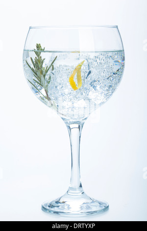 Rosmarin und Zitrone Gin Tonic isoliert auf weißem Hintergrund Stockfoto