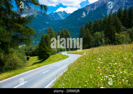 Route vorbei an alpinen Blumenwiesen im Schweizerischen Nationalpark, den Schweizer Alpen, Schweiz Stockfoto