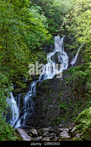 Torc Wasserfall im Killarney National Park auf dem Ring of Kerry, County Kerry, Irland Stockfoto