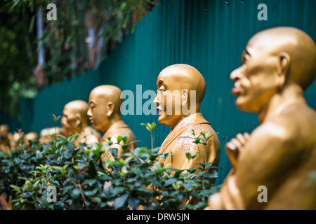 Buddha-Statuen in zehn tausend Buddhas Kloster in Hong Kong, China. Stockfoto
