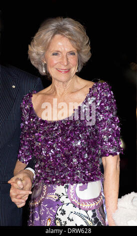 Ahoy Rotterdam, Niederlande. 1. Februar 2014. Niederländische Prinzessin Irene besucht die nationale Feier der Herrschaft von Königin Beatrix in Ahoy Rotterdam, Niederlande, 1. Februar 2014. Ausschusses für nationale Investitur organisierte eine Feier danke Beatrix für ihre 33 regierende Königin der Niederlande mit der Show "Beatrix, traf Hart En Ziel" (mit Herz und Seele). Es ist das Ende der Feier der Investitur-Komitees. Prinzessin Beatrix war Königin von 30. April 1980 bis 30. April 2013. Foto: Albert Nieboer //dpa/Alamy Live-Nachrichten Stockfoto