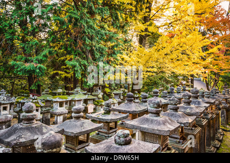 Nara, Japan. Japanische Laternen am Kasuga-Taisha Schrein. Stockfoto