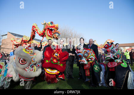 Liverpool, Vereinigtes Königreich. 2. Februar 2014. Oberbürgermeister von Liverpool Gary Millar und Liverpool Bürgermeister Joe Anderson posieren mit chinesischen Drachen beim chinesischen Neujahrsfest in Liverpool. Liverpool hat eine der ältesten chinesischen Gemeinden in Europa. Bildnachweis: Adam Vaughan/Alamy Live-Nachrichten Stockfoto