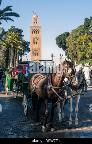 MARRAKESCH, MAROKKO - 21. JANUAR 2014: Calesh (Pferdekutsche) wartet am Place Jemaa el-Fna mit dem Minarett der Koutoubia-Moschee Stockfoto