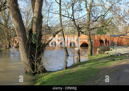 Leatherhead, Surrey, England, UK. 2. Februar 2014. Nach den außergewöhnlichen Ebenen Niederschläge in ganz Großbritannien ist der Fluss Maulwurf seine Ufer an vielen Orten in Surrey geplatzt. Hier in Leatherhead eine Familie beobachten Sie das schnelle fließende Wasser, wie es geht unter den 14 Bogen Brücke im Jahre 1783. Bildnachweis: Julia Gavin/Alamy Live-Nachrichten Stockfoto