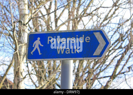 Leatherhead, Surrey, England, UK. 2. Februar 2014. Nach den außergewöhnlichen Ebenen Niederschläge in ganz Großbritannien ist der Fluss Maulwurf seine Ufer an vielen Orten in Surrey geplatzt. Hier in Leatherhead am Flussufer Wanderweg hat wurde verschluckt werden durch den Fluss und die Felder sind unter mehreren Zoll Wasser. Bildnachweis: Julia Gavin/Alamy Live-Nachrichten Stockfoto