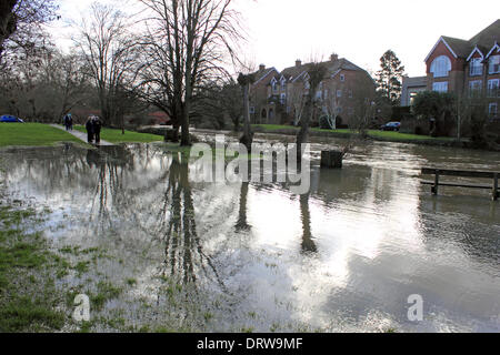 Leatherhead, Surrey, England, UK. 2. Februar 2014. Nach den außergewöhnlichen Ebenen Niederschläge in ganz Großbritannien ist der Fluss Maulwurf seine Ufer an vielen Orten in Surrey geplatzt. Hier in Leatherhead am Flussufer Wanderweg hat wurde verschluckt werden durch den Fluss und die Felder sind unter mehreren Zoll Wasser. Der Riverside Weg zum gemeinsamen Wiese ist unpassierbar. Bildnachweis: Julia Gavin/Alamy Live-Nachrichten Stockfoto