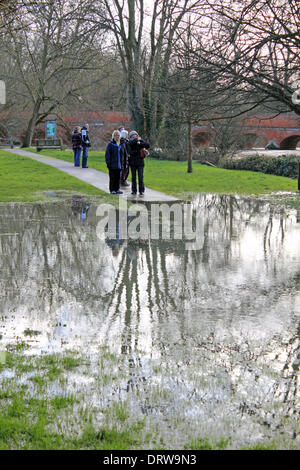 Leatherhead, Surrey, England, UK. 2. Februar 2014. Nach den außergewöhnlichen Ebenen Niederschläge in ganz Großbritannien ist der Fluss Maulwurf seine Ufer an vielen Orten in Surrey geplatzt. Hier in Leatherhead am Flussufer Wanderweg hat wurde verschluckt werden durch den Fluss und die Felder sind unter mehreren Zoll Wasser. Der Riverside Weg zum gemeinsamen Wiese ist unpassierbar. Bildnachweis: Julia Gavin/Alamy Live-Nachrichten Stockfoto