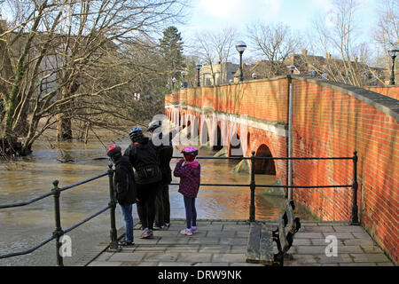 Leatherhead, Surrey, England, UK. 2. Februar 2014. Nach den außergewöhnlichen Ebenen Niederschläge in ganz Großbritannien ist der Fluss Maulwurf seine Ufer an vielen Orten in Surrey geplatzt. Hier in Leatherhead eine Familie beobachten Sie das schnelle fließende Wasser, wie es geht unter den 14 Bogen Brücke im Jahre 1783. Bildnachweis: Julia Gavin/Alamy Live-Nachrichten Stockfoto