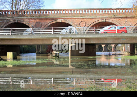 Leatherhead, Surrey, England, UK. 2. Februar 2014. Nach den außergewöhnlichen Ebenen Niederschläge in ganz Großbritannien ist der Fluss Maulwurf seine Ufer an vielen Orten in Surrey geplatzt. Hier in Leatherhead am Flussufer Wanderweg hat wurde verschluckt werden durch den Fluss und die Felder sind unter mehreren Zoll Wasser. Der Riverside Weg zum gemeinsamen Wiese unter Wasserstraße Straßen- und Eisenbahnbrücke ist unpassierbar. Bildnachweis: Julia Gavin/Alamy Live-Nachrichten Stockfoto