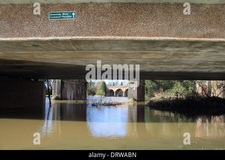 Leatherhead, Surrey, England, UK. 2. Februar 2014. Nach den außergewöhnlichen Ebenen Niederschläge in ganz Großbritannien ist der Fluss Maulwurf seine Ufer an vielen Orten in Surrey geplatzt. Hier in Leatherhead am Flussufer Wanderweg hat wurde verschluckt werden durch den Fluss und die Felder sind unter mehreren Zoll Wasser. Der Riverside Weg zum gemeinsamen Wiese unter Wasserstraße Straße ist unpassierbar. Bildnachweis: Julia Gavin/Alamy Live-Nachrichten Stockfoto