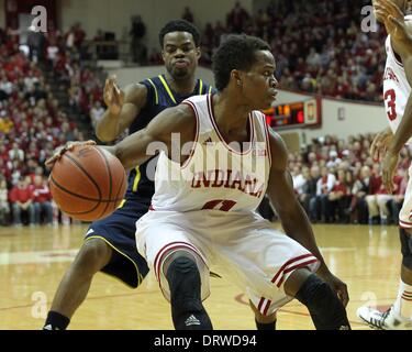 Bloomington, Indiana, USA. 2. Februar 2014. 2. Februar 2014: Indiana Hoosiers Wache Yogi Ferrell (11) dribbelt den Ball in der ersten Hälfte gegen die Michigan Wolverines in der Assembly Hall in Bloomington, Indiana. Kredit-Bild: Pat Lovell/Cal Sport Media/Alamy Live News Stockfoto