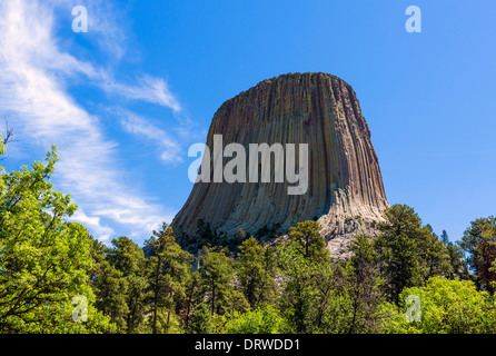 Devils Tower National Monument aus dem Tower Trail, Crook County, Black Hills, Wyoming, USA Stockfoto