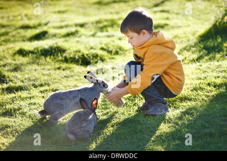 Kleiner Junge Fütterung zwei Kaninchen in Hof Stockfoto