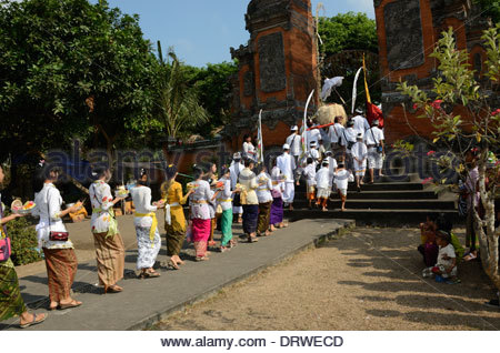 Bali indonesien frauen suchen männer