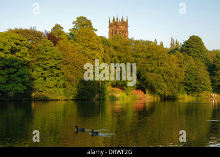 Enten auf dem Lymm Damm in Lymm, Cheshire, mit Turm von Str. Marys Kirche in der Abendsonne Stockfoto