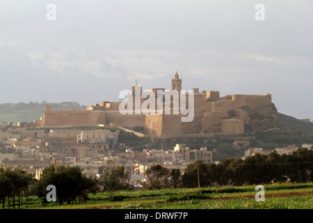 DIE Zitadelle RABAT VICTORIA GOZO MALTA 4. Dezember 2013 Stockfoto