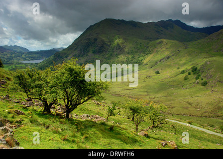 Bäumen gesäumten walisischen Tal im Snowdonia National Park, Wales Stockfoto