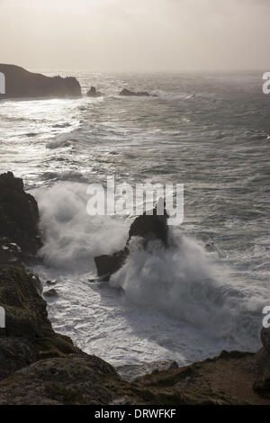 South West Coast Path, Lands End, UK. 1. Februar 2014. Teig in die Küste bei Lands End, Cornwall winkt. Bildnachweis: Barry Bateman/Alamy Live-Nachrichten Stockfoto