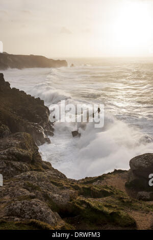 South West Coast Path, Lands End, UK. 1. Februar 2014. Teig in die Küste bei Lands End, Cornwall winkt. Bildnachweis: Barry Bateman/Alamy Live-Nachrichten Stockfoto