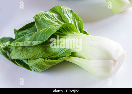 Frische Bok Choy auf weißem Hintergrund Stockfoto