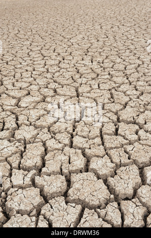 Trockenen Bodentextur ein unfruchtbares land Stockfoto