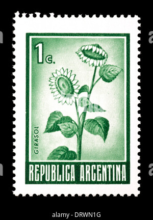 Briefmarke aus Argentinien, die Darstellung einer Sonnenblume Stockfoto