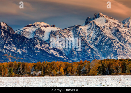 Herbst und Winter treffen auf den Grand Teton Stockfoto