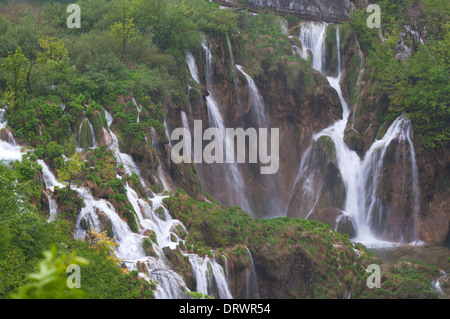 Plitvicer Seen, Wald, Wasserfall, Nationalpark, Kroatien Stockfoto