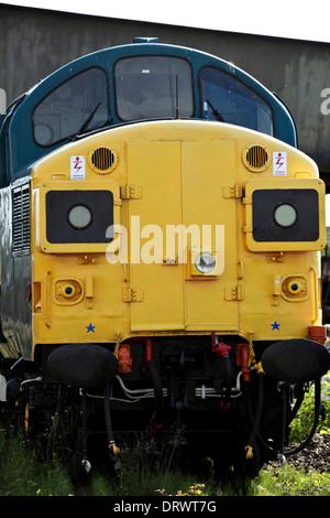 Klasse 37 Diesel Lokomotive restauriert im Caledonian Eisenbahnen. Das Sitzen an Brücke von Dun. Brechin. Schottland Großbritannien. Klasse 37 s Diesel Stockfoto