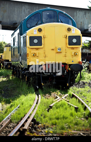 Klasse 37 Diesel Lokomotive restauriert im Caledonian Eisenbahnen. Das Sitzen an Brücke von Dun. Brechin. Schottland Großbritannien. Klasse 37 s Diesel Stockfoto