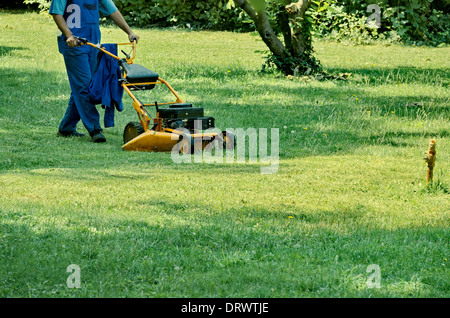 Erfahrene Arbeiter Mähen mit Rasenmäher im Garten Stockfoto