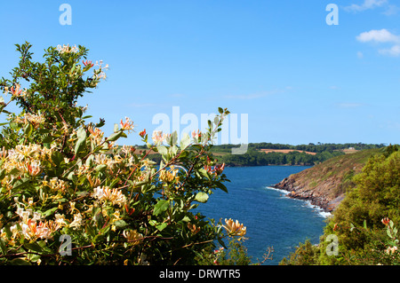 ein Blick über den Helford River in der Nähe von Mawnan Smith in cornwall Stockfoto