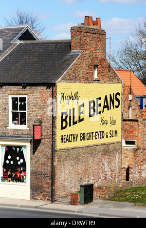 Ein altes unterzeichnen Galle Bohnen in York, Großbritannien. Stockfoto