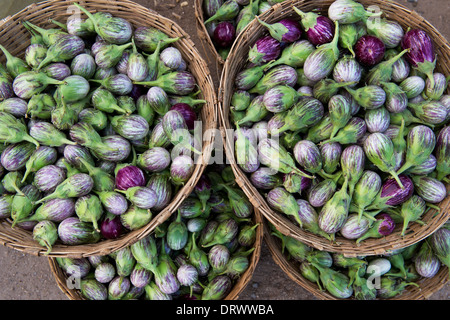 Indisches Gemüse. Auberginen / Aubergine oder Aubergine in Körben auf einem indischen Markt. Andhra Pradesh, Indien Stockfoto