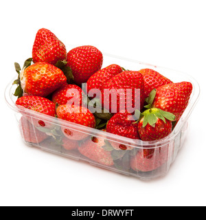 Box oder Körbchen Erdbeeren isoliert auf einem weißen Studio-Hintergrund. Stockfoto