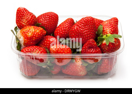 Box oder Körbchen Erdbeeren isoliert auf einem weißen Studio-Hintergrund. Stockfoto