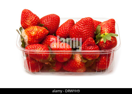 Box oder Körbchen Erdbeeren isoliert auf einem weißen Studio-Hintergrund. Stockfoto