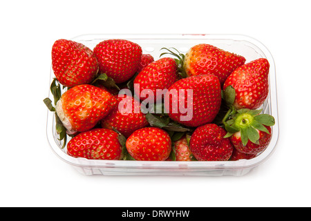 Box oder Körbchen Erdbeeren isoliert auf einem weißen Studio-Hintergrund. Stockfoto