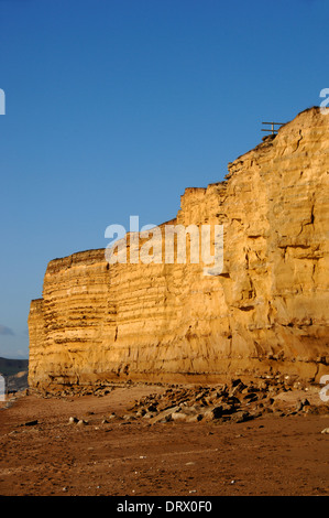 Sandstein-Felsen östlich von West Bay, Dorset, UK. Zeigen Bänder von Bridport Sands an der Jurassic Coast. November 2008 Stockfoto