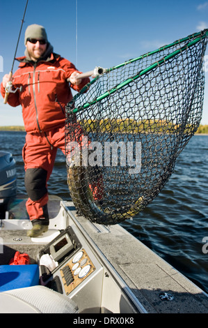 Angler halten eine Sommer-Zander in einem Fischernetz. Stockfoto