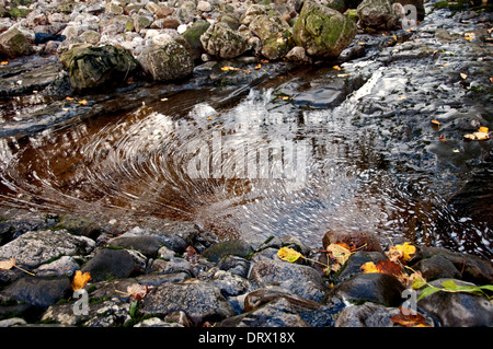 Strom Wasser plätschert, Littondale, Yorkshire Stockfoto