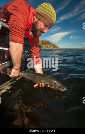 Angler gelehnt von seinem Fischerboot, ein Sommer-Zander zurück in den See freizugeben. Stockfoto